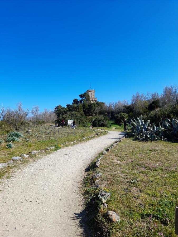 Bouganville Casa Vacanza Ambiente Climatizzato Con Wi Fi Pineto Exterior photo